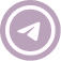 telegram icon