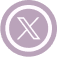 x icon